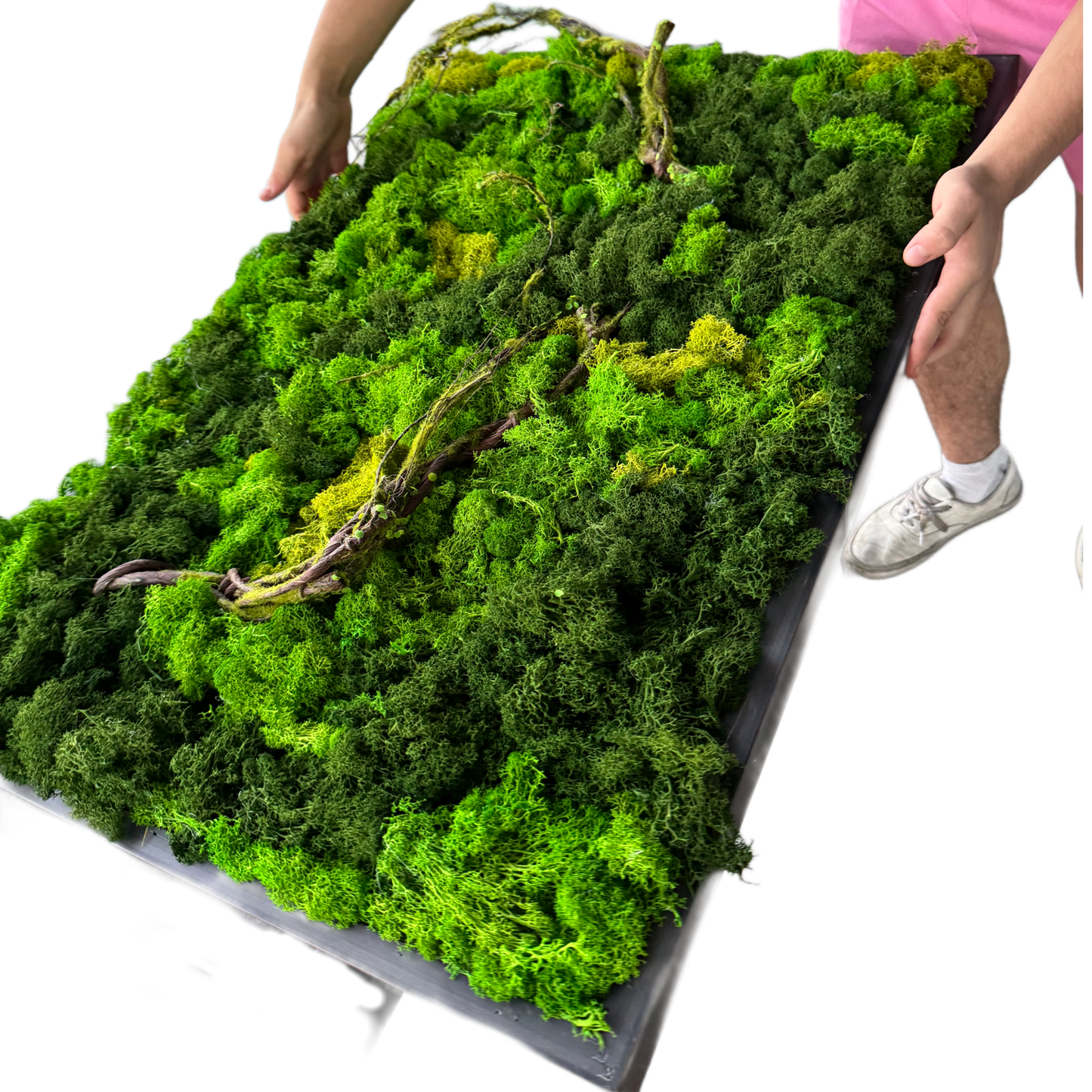 Veneer Layer's DIY Simulation Plant