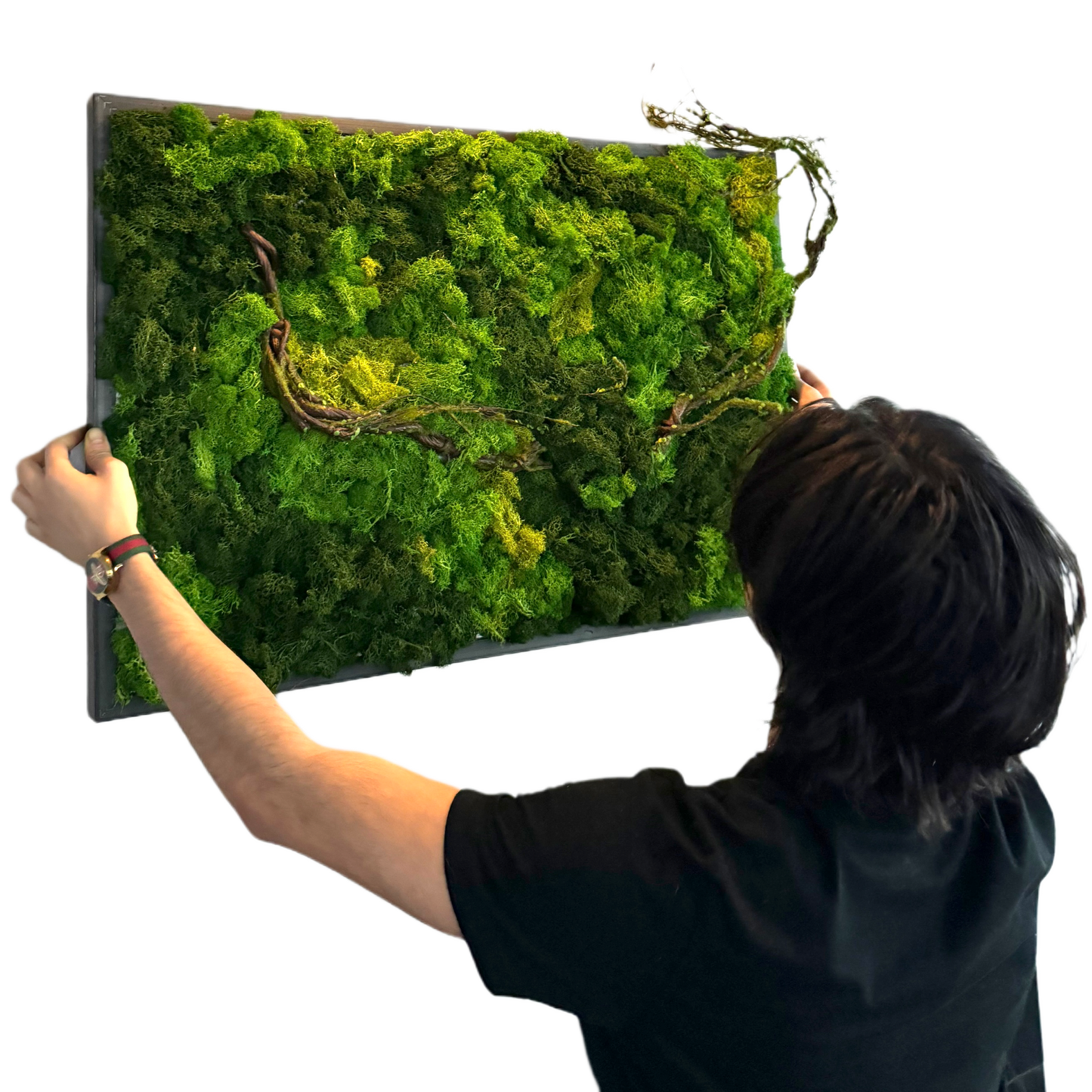 Veneer Layer's DIY Simulation Plant