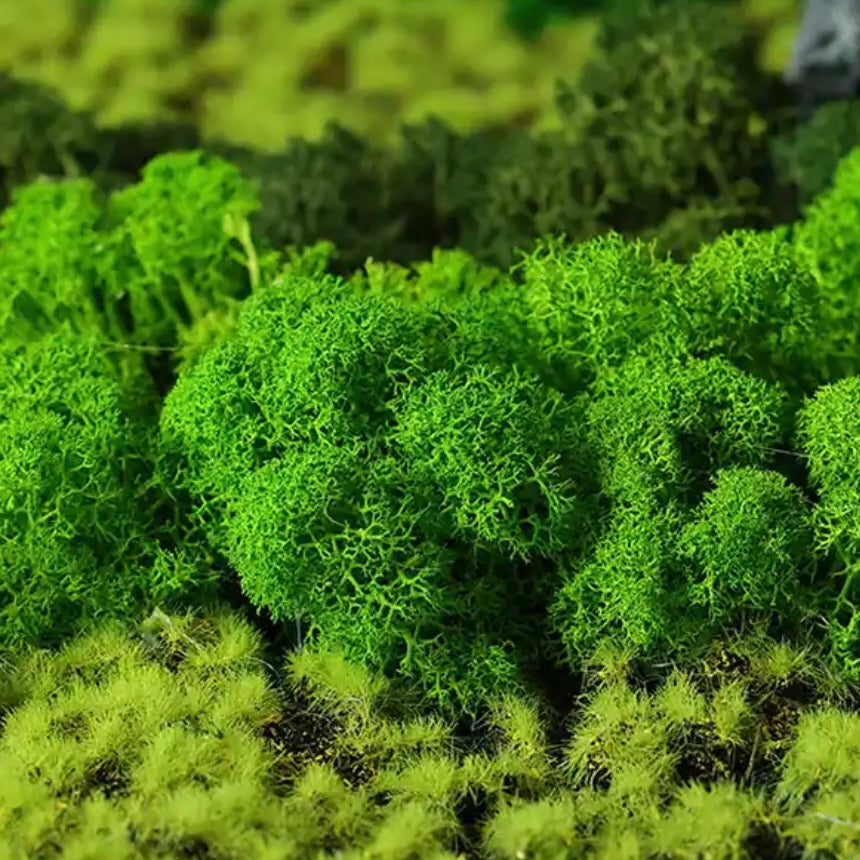 Veneer Layer's DIY Simulation Plant